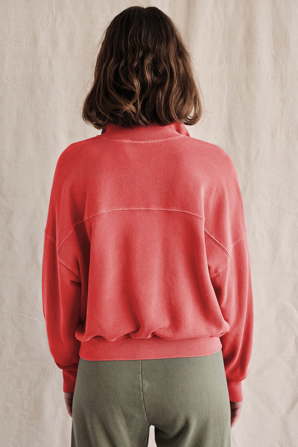 Sundry 1/2 Zip Sweatshirt In Pigment Scarlet-back