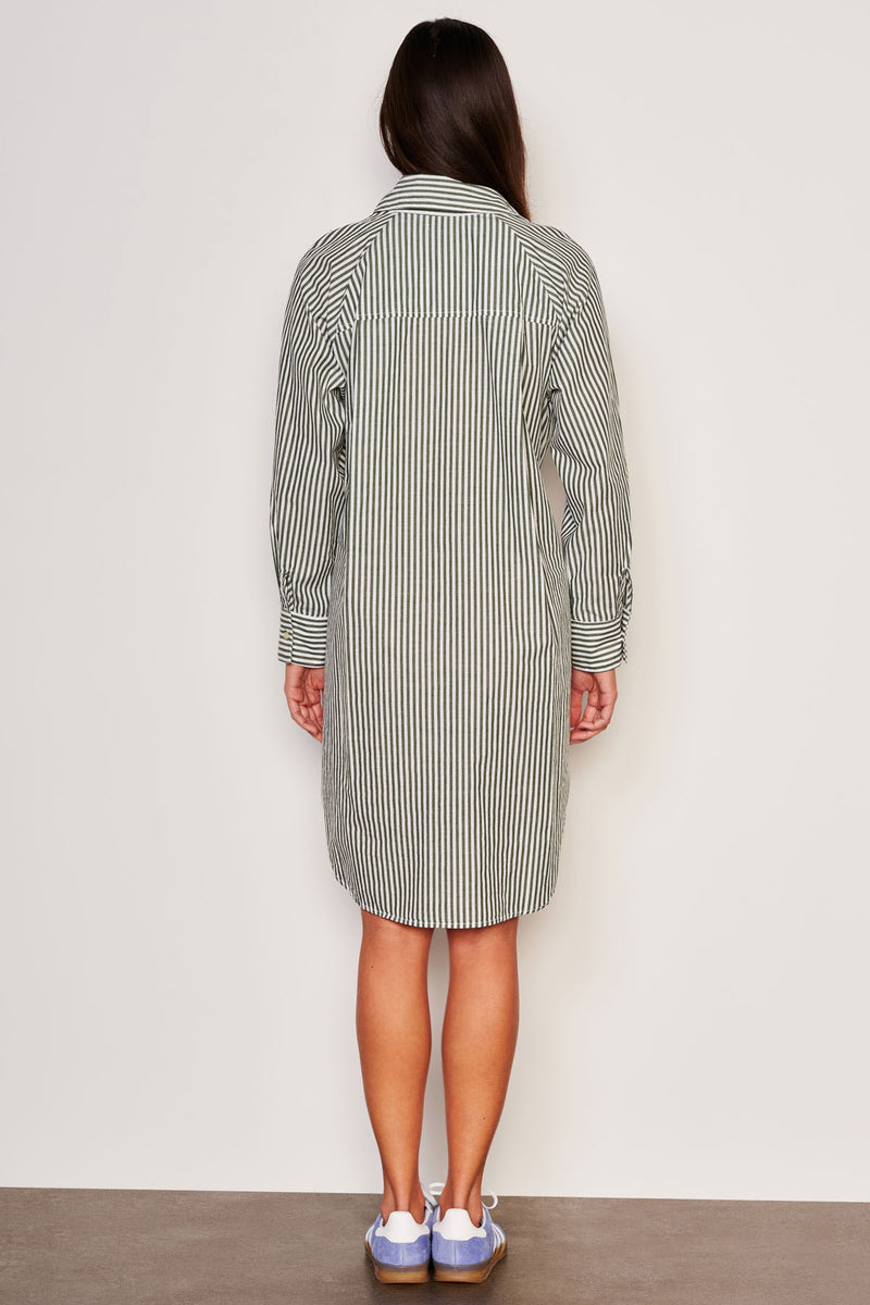 Sundry Shirttail Easy Dress in Fern-back view