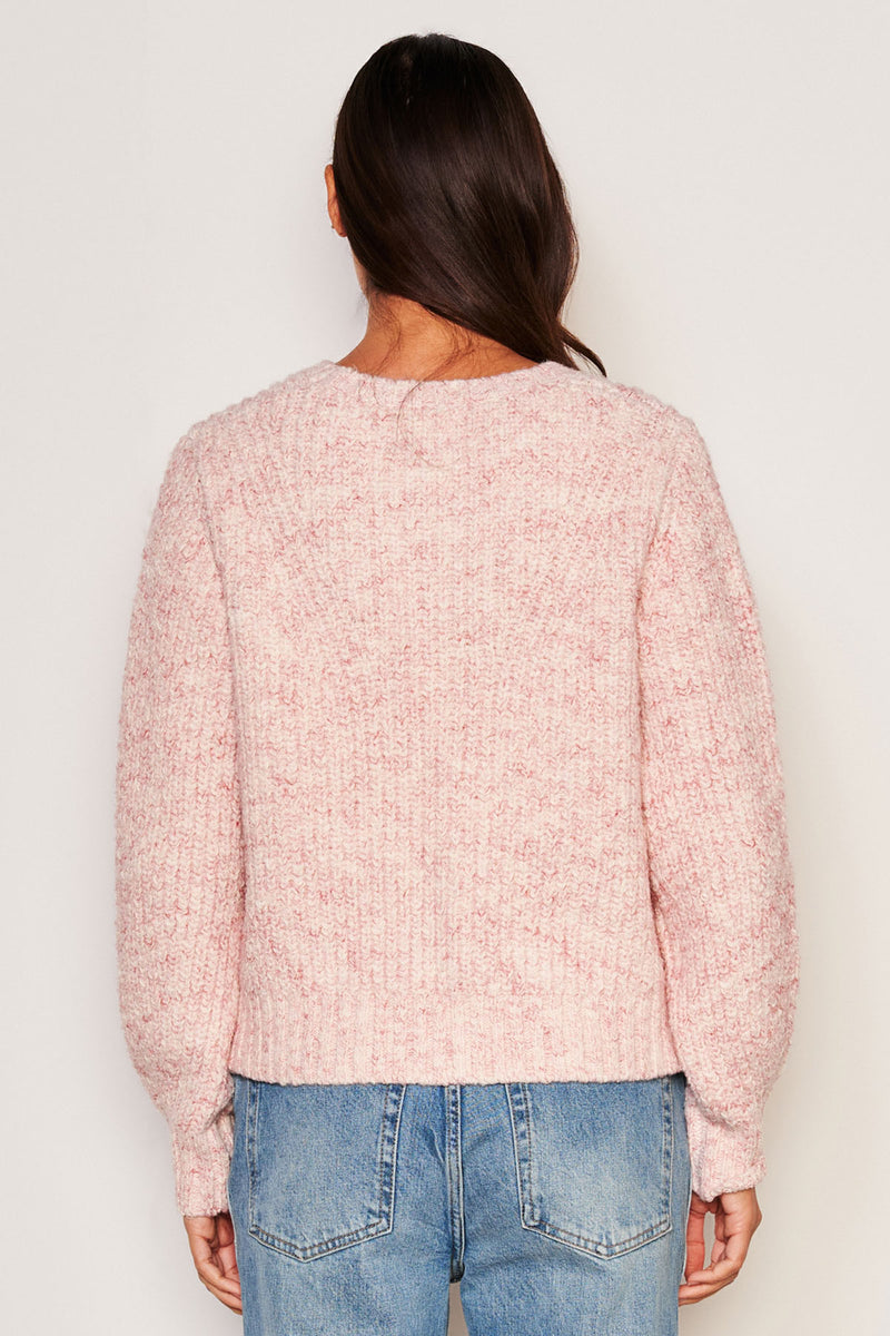 Sundry Rib Transfer Crew Neck Sweater in Guava-back view