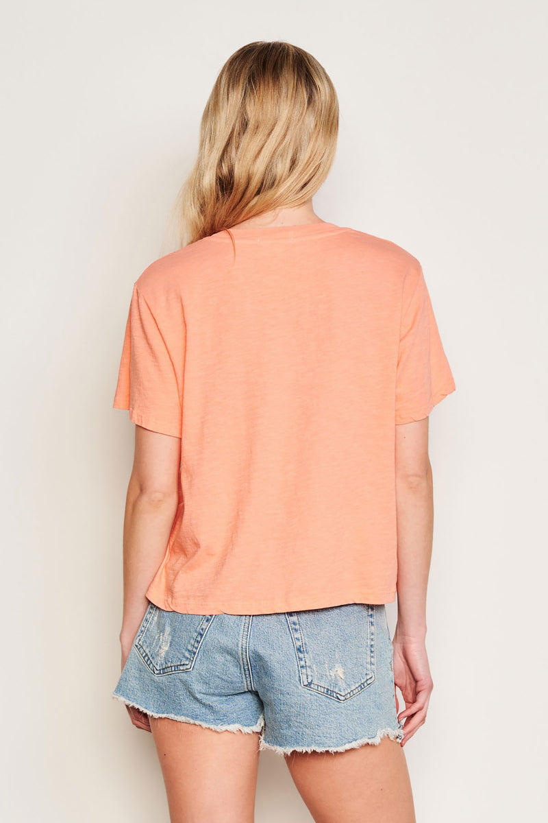 Sundry Crew Neck Tee in Pink-back view 