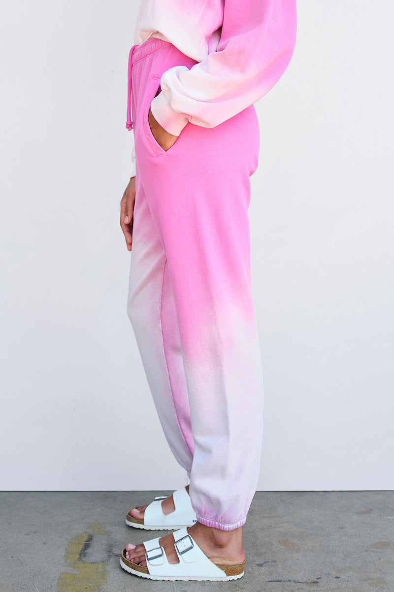Sundry Unisex Sweatpants in Flamingo Ombre-side shot 