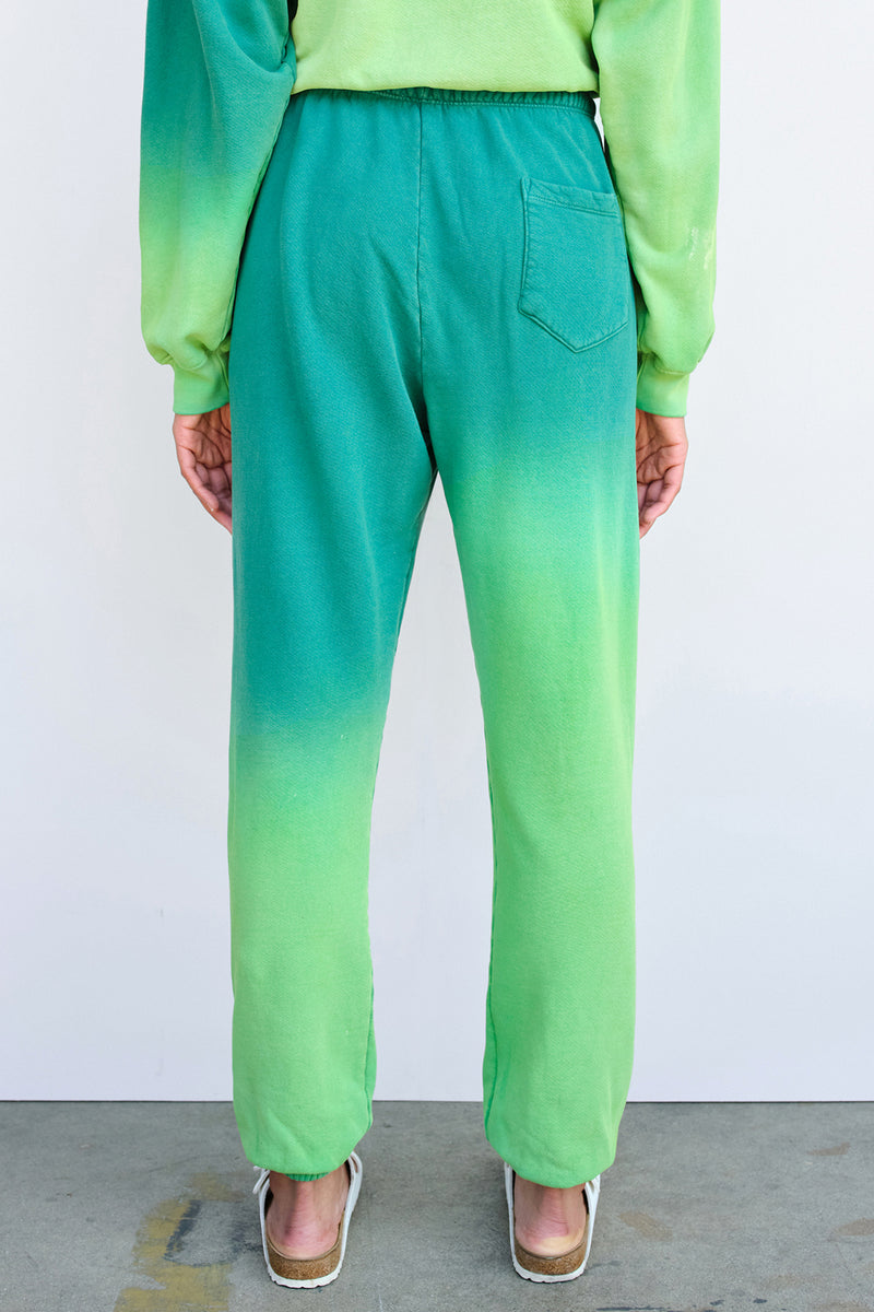 Sundry Unisex Sweatpants in Teal Ombre-back