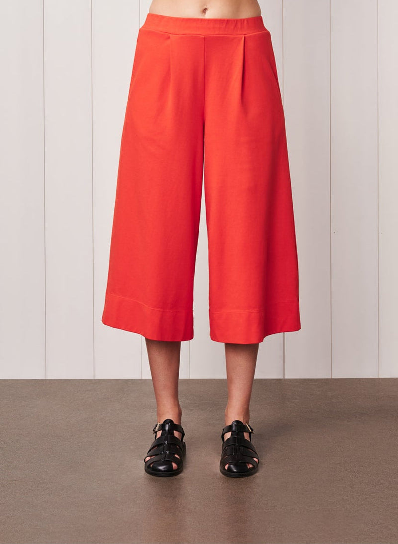 Ponte Culotte in Candy Apple